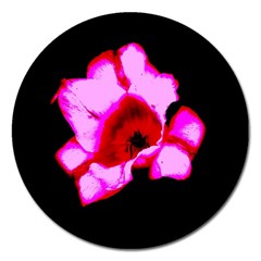 Pink And Red Tulip Magnet 5  (round) by okhismakingart