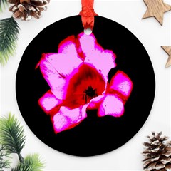 Pink And Red Tulip Round Ornament (two Sides) by okhismakingart