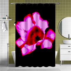 Pink And Red Tulip Shower Curtain 48  X 72  (small)  by okhismakingart