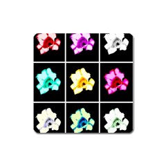 Tulip Collage Square Magnet by okhismakingart