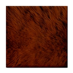 Fur Skin Bear Tile Coaster by HermanTelo