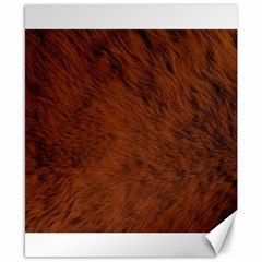 Fur Skin Bear Canvas 8  X 10 