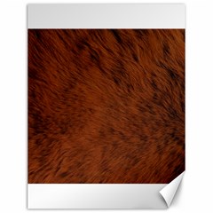 Fur Skin Bear Canvas 12  X 16 