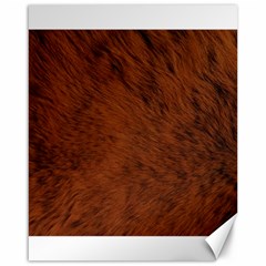 Fur Skin Bear Canvas 16  X 20 