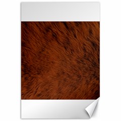 Fur Skin Bear Canvas 20  X 30 