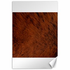 Fur Skin Bear Canvas 24  X 36 