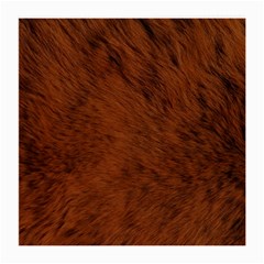 Fur Skin Bear Medium Glasses Cloth