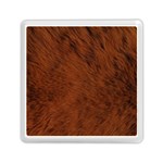 Fur Skin Bear Memory Card Reader (Square) Front