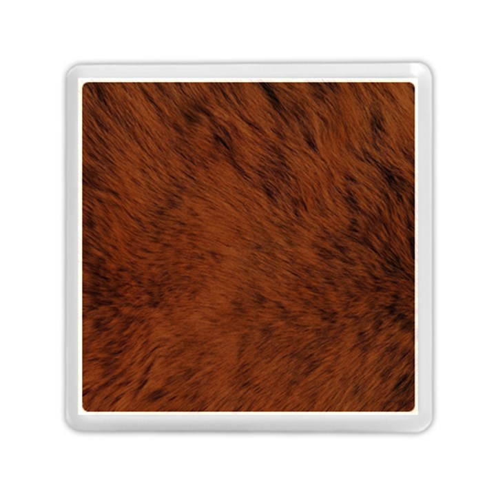 Fur Skin Bear Memory Card Reader (Square)