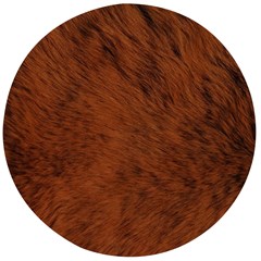 Fur Skin Bear Wooden Bottle Opener (round)