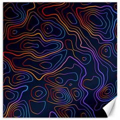 Topographic Colorful Contour Illustration Background Canvas 16  X 16  by Vaneshart