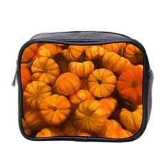 Mini Pumpkins Mini Toiletries Bag (two Sides) by bloomingvinedesign