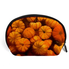 Mini Pumpkins Accessory Pouch (large) by bloomingvinedesign