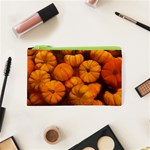 Mini pumpkins Cosmetic Bag (XS) Front