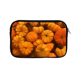 Mini Pumpkins Apple Macbook Pro 13  Zipper Case by bloomingvinedesign