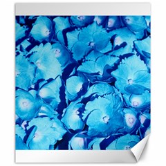 Hydrangea Blue Petals Flower Canvas 20  X 24  by Simbadda