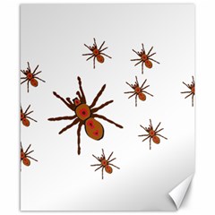 Insect Spider Wildlife Canvas 8  X 10 