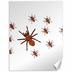 Insect Spider Wildlife Canvas 12  X 16 