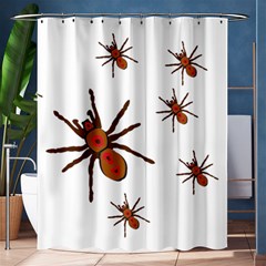 Insect Spider Wildlife Shower Curtain 60  X 72  (medium)  by Mariart