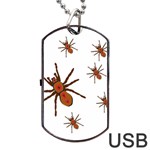 Insect Spider Wildlife Dog Tag USB Flash (One Side) Front