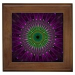 Light Abstract Flower Purple Petal Glass Color Circle Art Symmetry Digital Shape Fractal Macro Photo Framed Tile Front