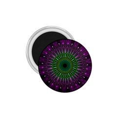 Light Abstract Flower Purple Petal Glass Color Circle Art Symmetry Digital Shape Fractal Macro Photo 1 75  Magnets by Vaneshart