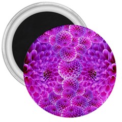 Nature Blossom Plant Flower Purple Petal Bloom Pattern Pollen Pink Flora Flowers Dahlia Design Beaut 3  Magnets by Vaneshart