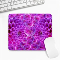 Nature Blossom Plant Flower Purple Petal Bloom Pattern Pollen Pink Flora Flowers Dahlia Design Beaut Large Mousepads by Vaneshart