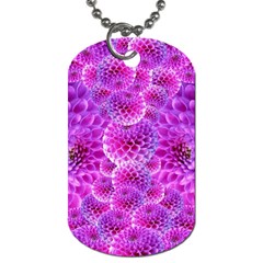 Nature Blossom Plant Flower Purple Petal Bloom Pattern Pollen Pink Flora Flowers Dahlia Design Beaut Dog Tag (one Side) by Vaneshart