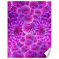 Nature Blossom Plant Flower Purple Petal Bloom Pattern Pollen Pink Flora Flowers Dahlia Design Beaut Canvas 12  X 16  by Vaneshart