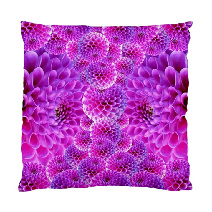 Nature Blossom Plant Flower Purple Petal Bloom Pattern Pollen Pink Flora Flowers Dahlia Design Beaut Standard Cushion Case (Two Sides)