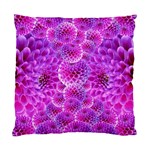 Nature Blossom Plant Flower Purple Petal Bloom Pattern Pollen Pink Flora Flowers Dahlia Design Beaut Standard Cushion Case (Two Sides) Back