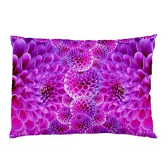 Nature Blossom Plant Flower Purple Petal Bloom Pattern Pollen Pink Flora Flowers Dahlia Design Beaut Pillow Case by Vaneshart