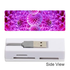 Nature Blossom Plant Flower Purple Petal Bloom Pattern Pollen Pink Flora Flowers Dahlia Design Beaut Memory Card Reader (stick) by Vaneshart