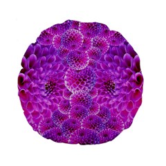 Nature Blossom Plant Flower Purple Petal Bloom Pattern Pollen Pink Flora Flowers Dahlia Design Beaut Standard 15  Premium Flano Round Cushions by Vaneshart