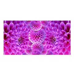 Nature Blossom Plant Flower Purple Petal Bloom Pattern Pollen Pink Flora Flowers Dahlia Design Beaut Satin Shawl by Vaneshart