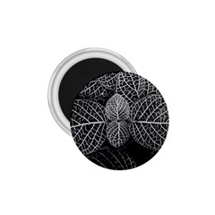 Black And White Plant Leaf Flower Pattern Line Black Monochrome Material Circle Spider Web Design 1 75  Magnets by Vaneshart