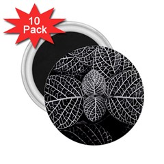 Black And White Plant Leaf Flower Pattern Line Black Monochrome Material Circle Spider Web Design 2 25  Magnets (10 Pack)  by Vaneshart