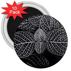 Black And White Plant Leaf Flower Pattern Line Black Monochrome Material Circle Spider Web Design 3  Magnets (10 Pack)  by Vaneshart