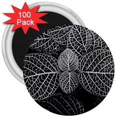 Black And White Plant Leaf Flower Pattern Line Black Monochrome Material Circle Spider Web Design 3  Magnets (100 Pack) by Vaneshart