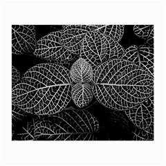 Black And White Plant Leaf Flower Pattern Line Black Monochrome Material Circle Spider Web Design Small Glasses Cloth by Vaneshart