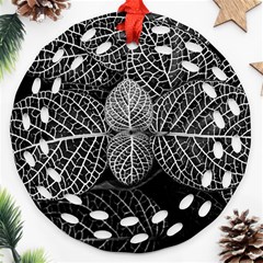 Black And White Plant Leaf Flower Pattern Line Black Monochrome Material Circle Spider Web Design Round Filigree Ornament (two Sides) by Vaneshart