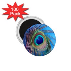 Nature Bird Wing Texture Animal Male Wildlife Decoration Pattern Line Green Color Blue Colorful 1 75  Magnets (100 Pack)  by Vaneshart