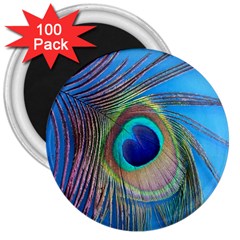 Nature Bird Wing Texture Animal Male Wildlife Decoration Pattern Line Green Color Blue Colorful 3  Magnets (100 Pack) by Vaneshart