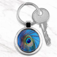 Nature Bird Wing Texture Animal Male Wildlife Decoration Pattern Line Green Color Blue Colorful Key Chain (round) by Vaneshart