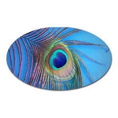 Nature Bird Wing Texture Animal Male Wildlife Decoration Pattern Line Green Color Blue Colorful Oval Magnet by Vaneshart