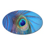 Nature Bird Wing Texture Animal Male Wildlife Decoration Pattern Line Green Color Blue Colorful Oval Magnet Front