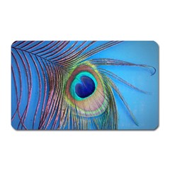 Nature Bird Wing Texture Animal Male Wildlife Decoration Pattern Line Green Color Blue Colorful Magnet (rectangular) by Vaneshart