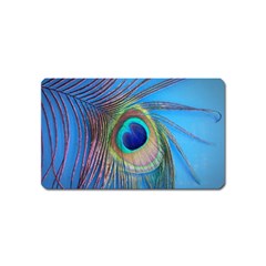 Nature Bird Wing Texture Animal Male Wildlife Decoration Pattern Line Green Color Blue Colorful Magnet (name Card) by Vaneshart