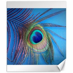 Nature Bird Wing Texture Animal Male Wildlife Decoration Pattern Line Green Color Blue Colorful Canvas 8  X 10  by Vaneshart